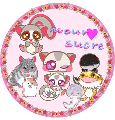 Amour sucre