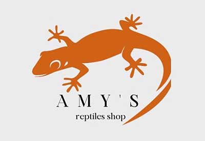 Amy's