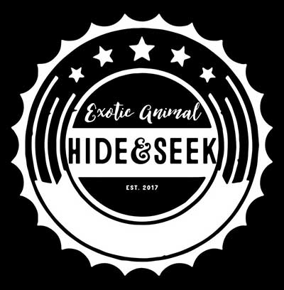 Hide&Seek