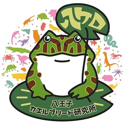 八ケロ・カエルブリード研究所