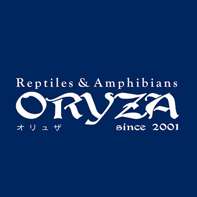 ORYZA