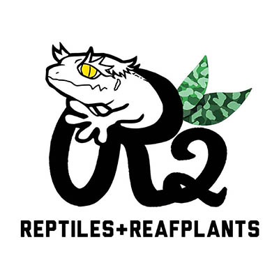 R2 REPTILES