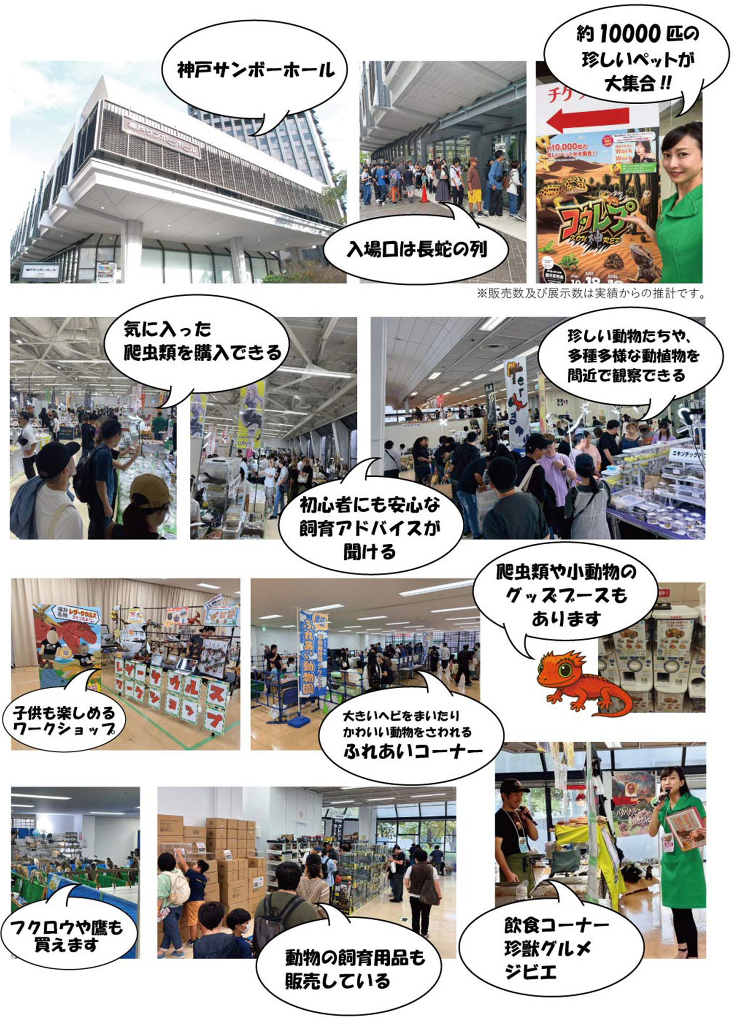 ギャラリー　イベントの様子