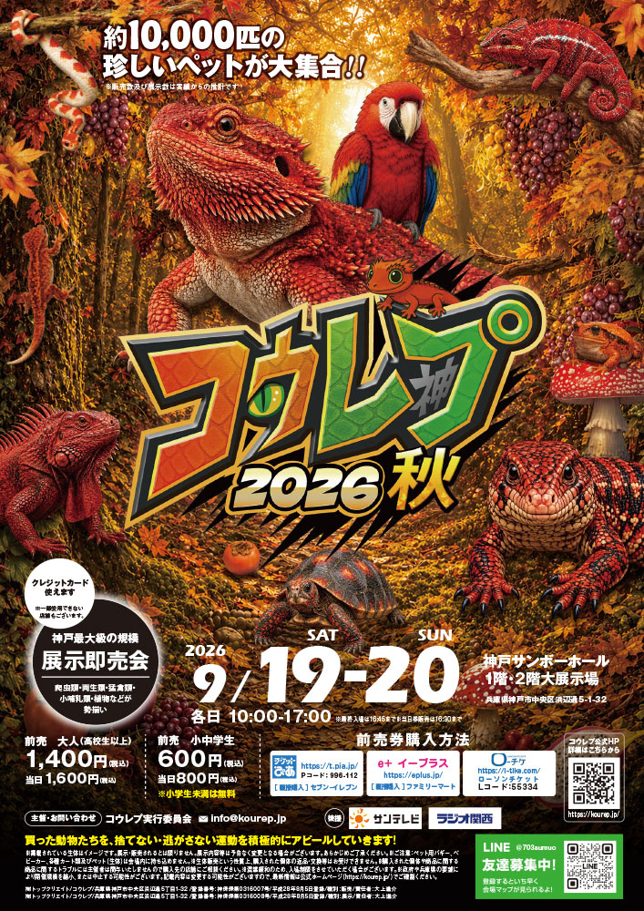 コウレプ2026秋チラシ表