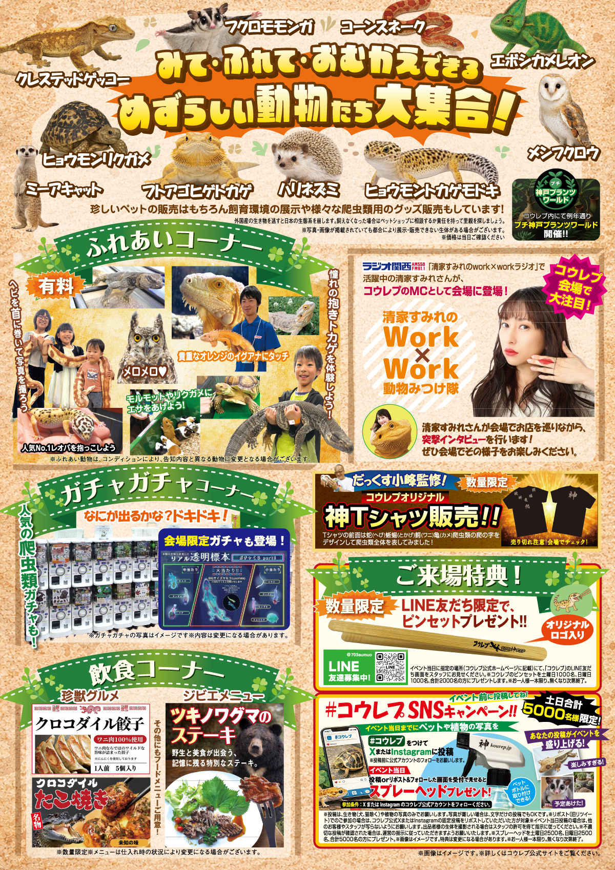 コウレプ2026春ヒーローイメージ裏チラシ